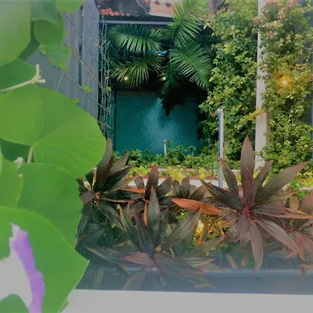 Solitaire Damnak Villa Hotel