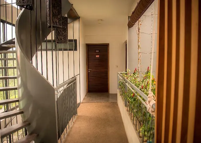 Hotel Solitaire Damnak